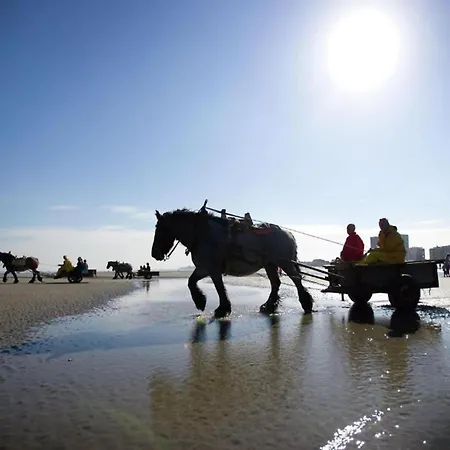 In With Stunning Sea Views דירה *