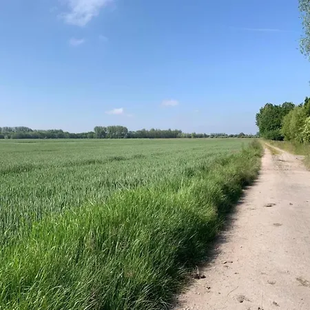 דירה In With Stunning Sea Views ניופורט