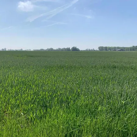 In With Stunning Sea Views * ניופורט