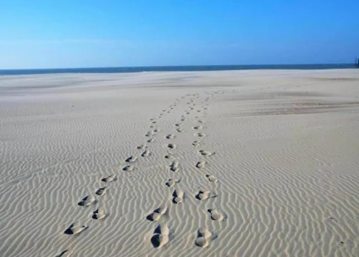 Апартаменты In With Stunning Sea Views *