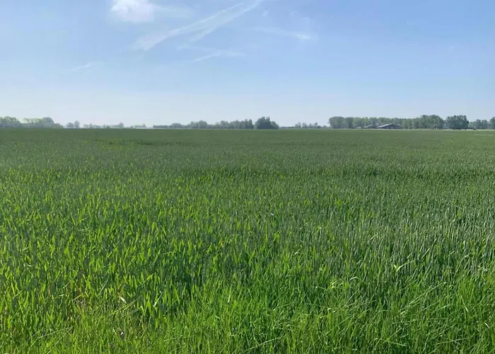 In With Stunning Sea Views * Ньивпорт